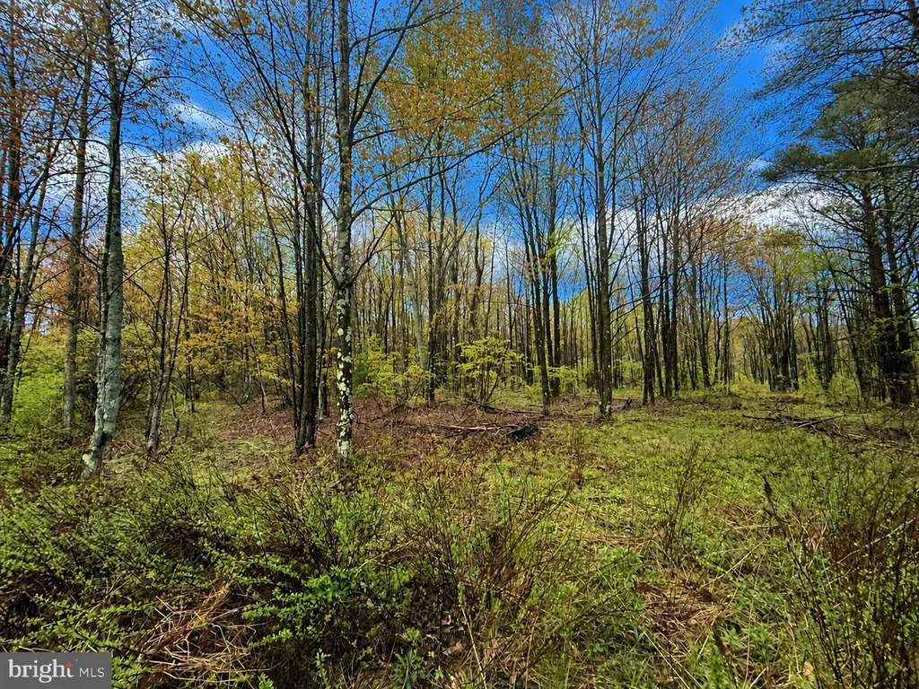 Grandview Road, Kane, PA 16735 photo 3