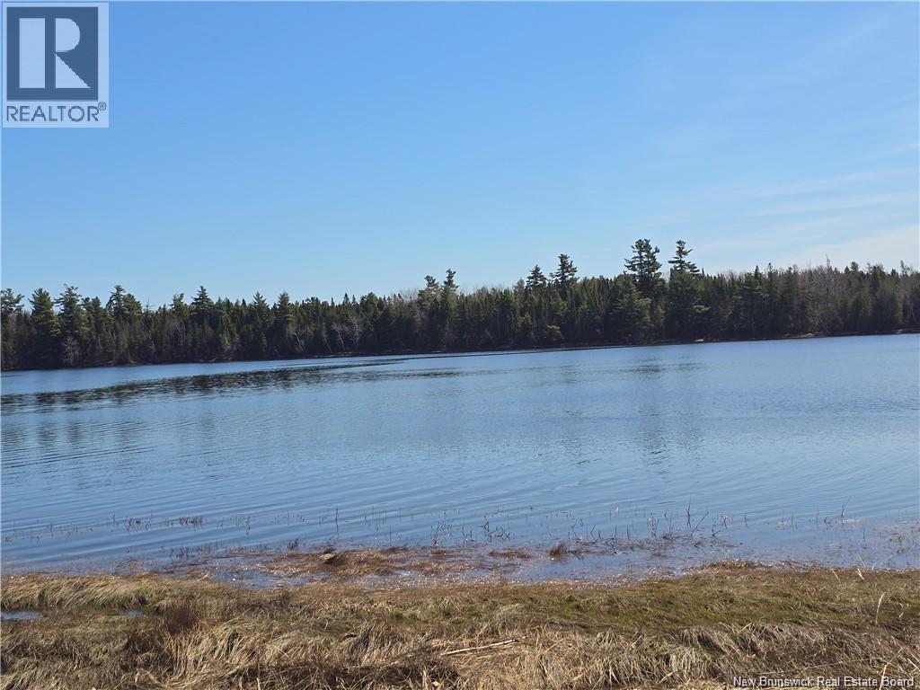Acreage North Black River Road