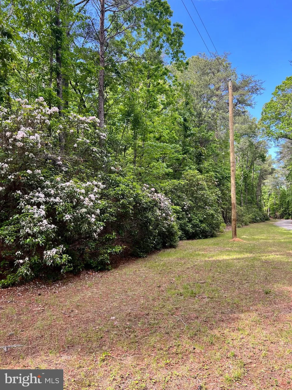 High Point Ln, Heathsville, VA 22473 photo 5