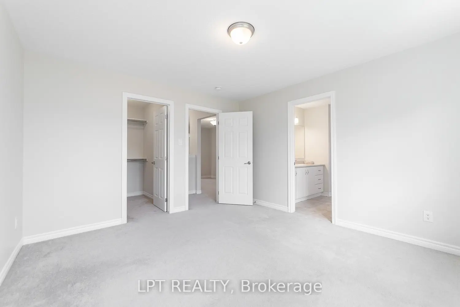 Additional image 12 of 67 Bristling Crescent