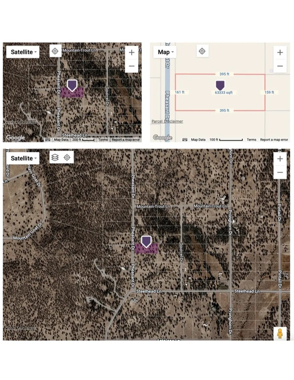 Pheasant Drive, Alturas, CA 96101 photo 2