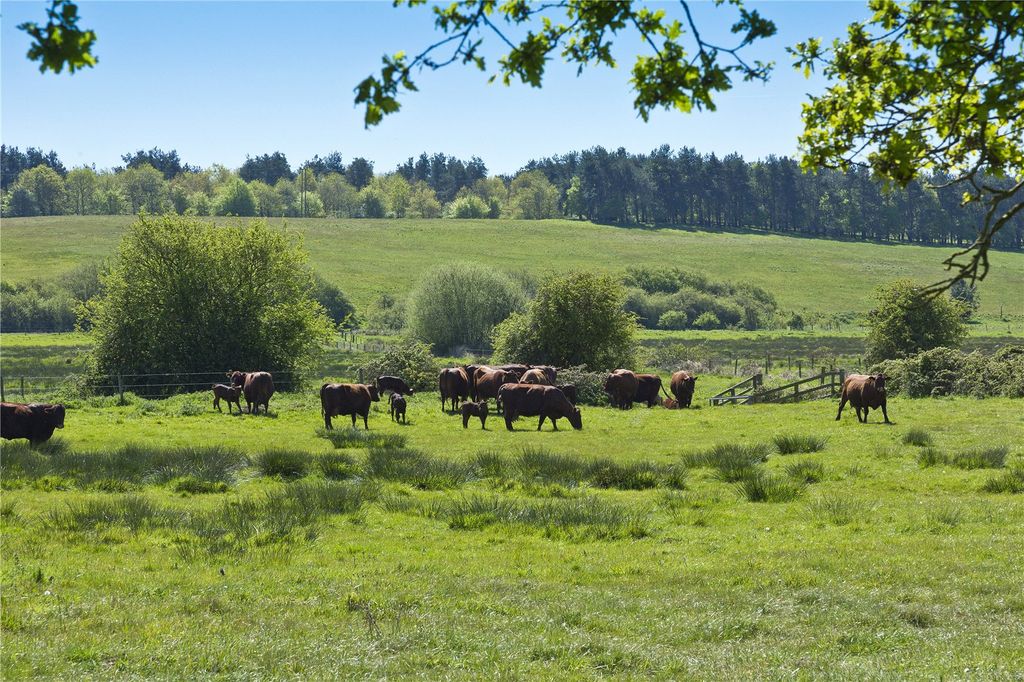 Land for saleLot 5 | Park Farm, Bylaugh, Norfolk NR20