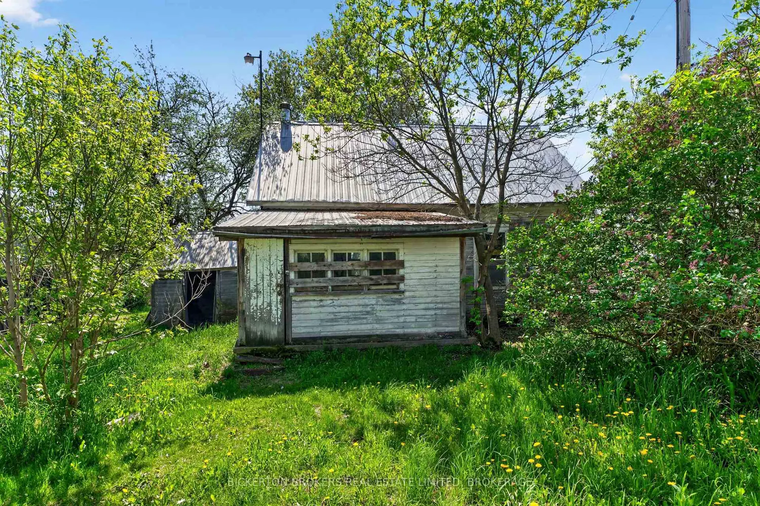 10655 Jellyby Road photo 5