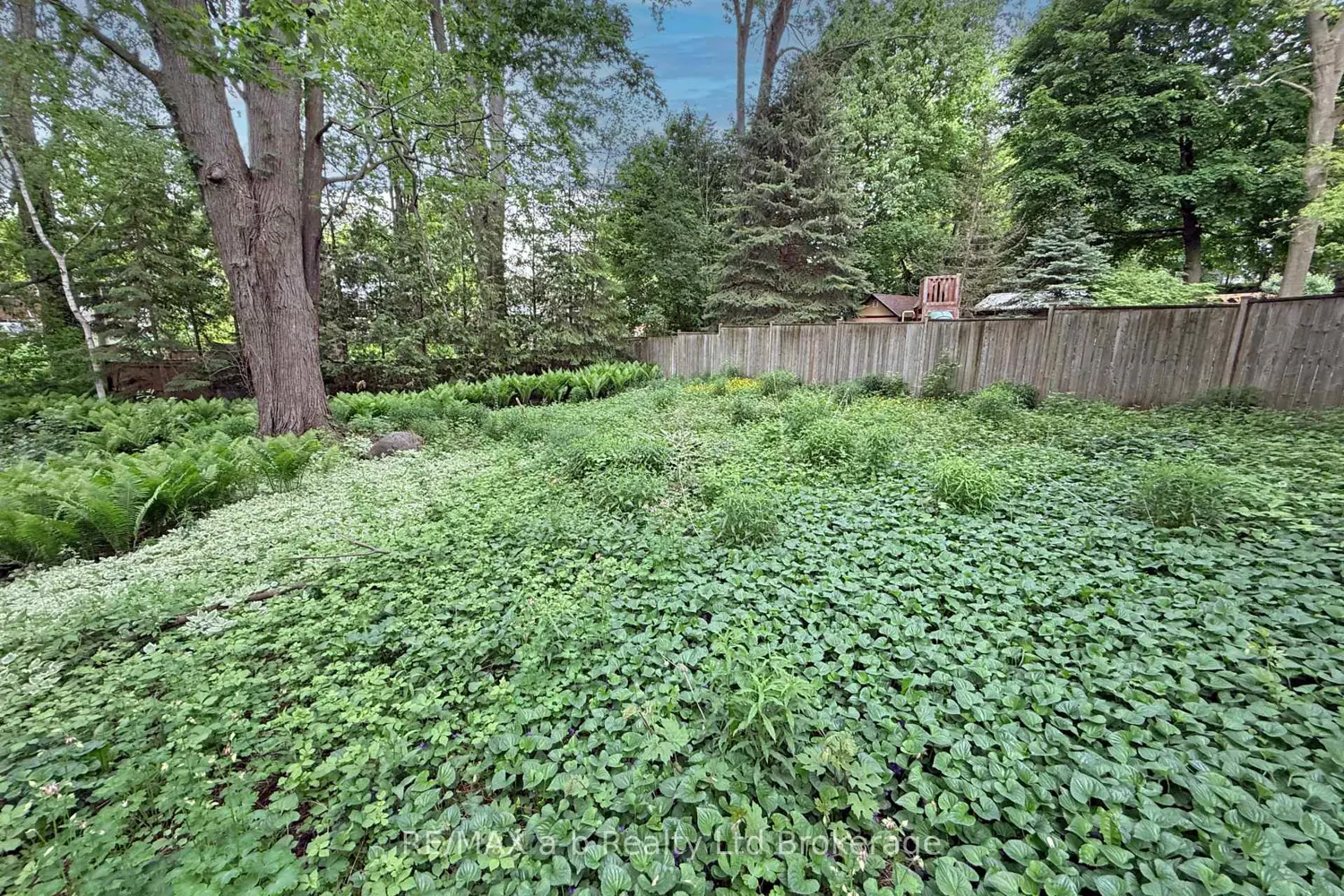 Additional image 17 of 213 Belgrave Street