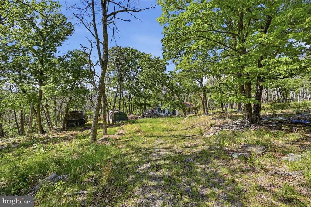 Additional image 4 of 406 Red Fern Lane, Augusta, WV 26704