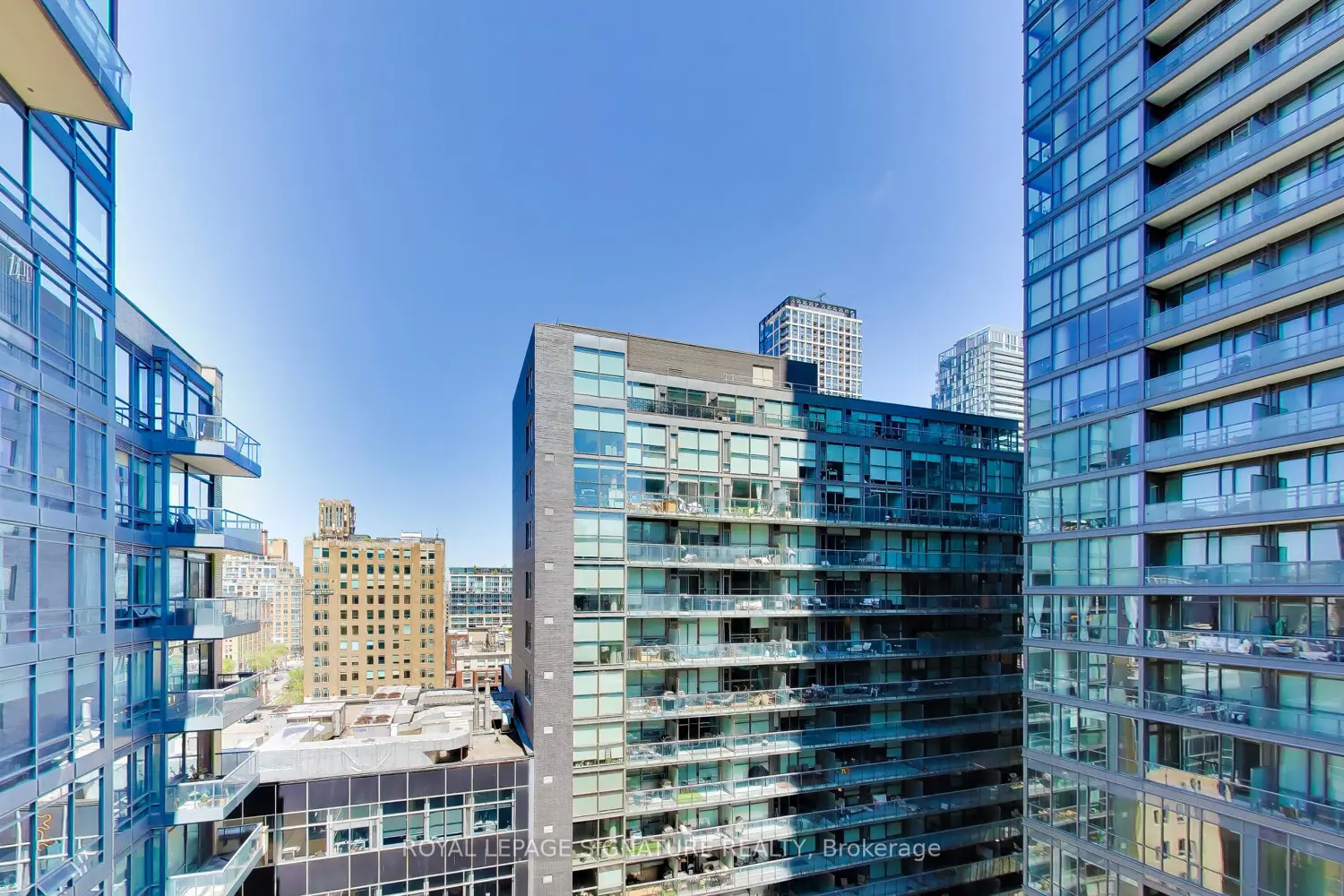 Additional image 9 of 438 King Street 1219