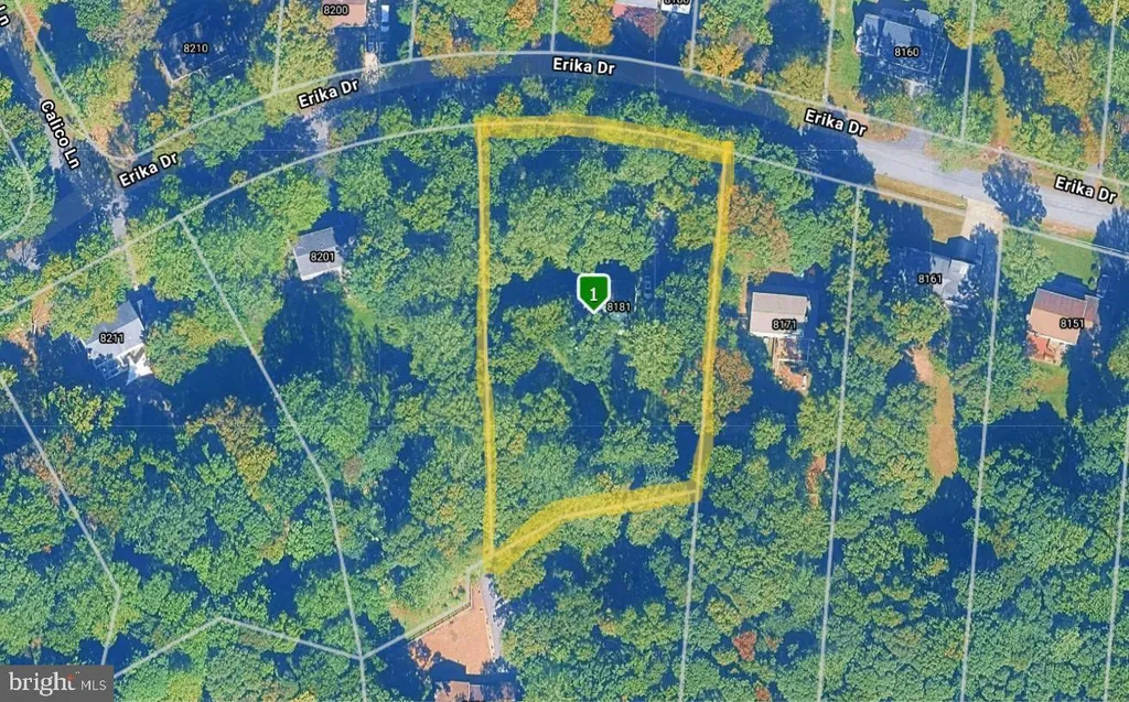8181 Erika Drive, Manassas, VA 20112