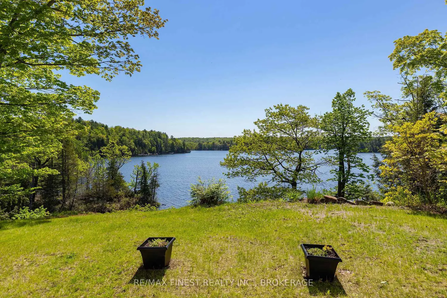 308C Henry Lane photo 2