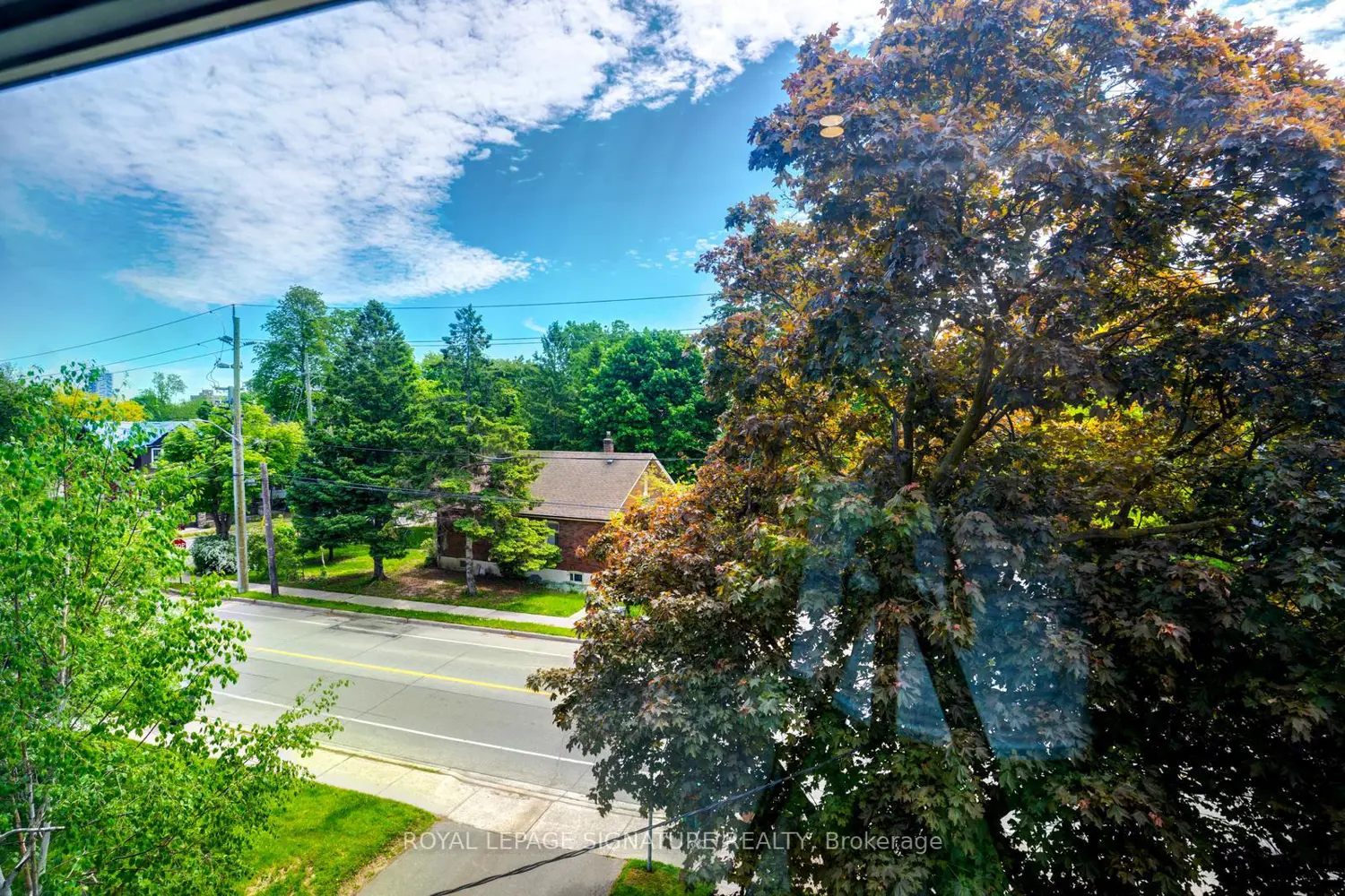 Additional image 12 of 50 Rosedale Avenue