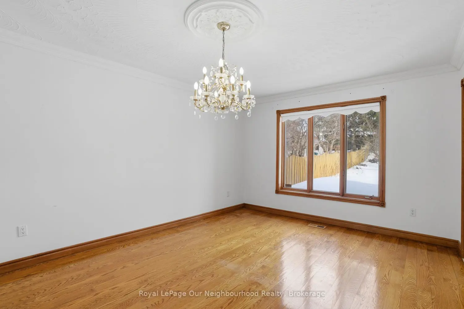 79 Elizabeth Street photo 4