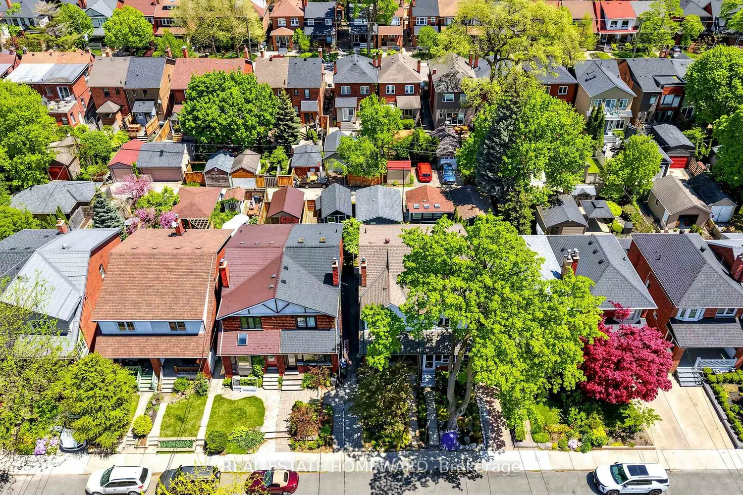 Additional image 18 of 117 Evans Avenue