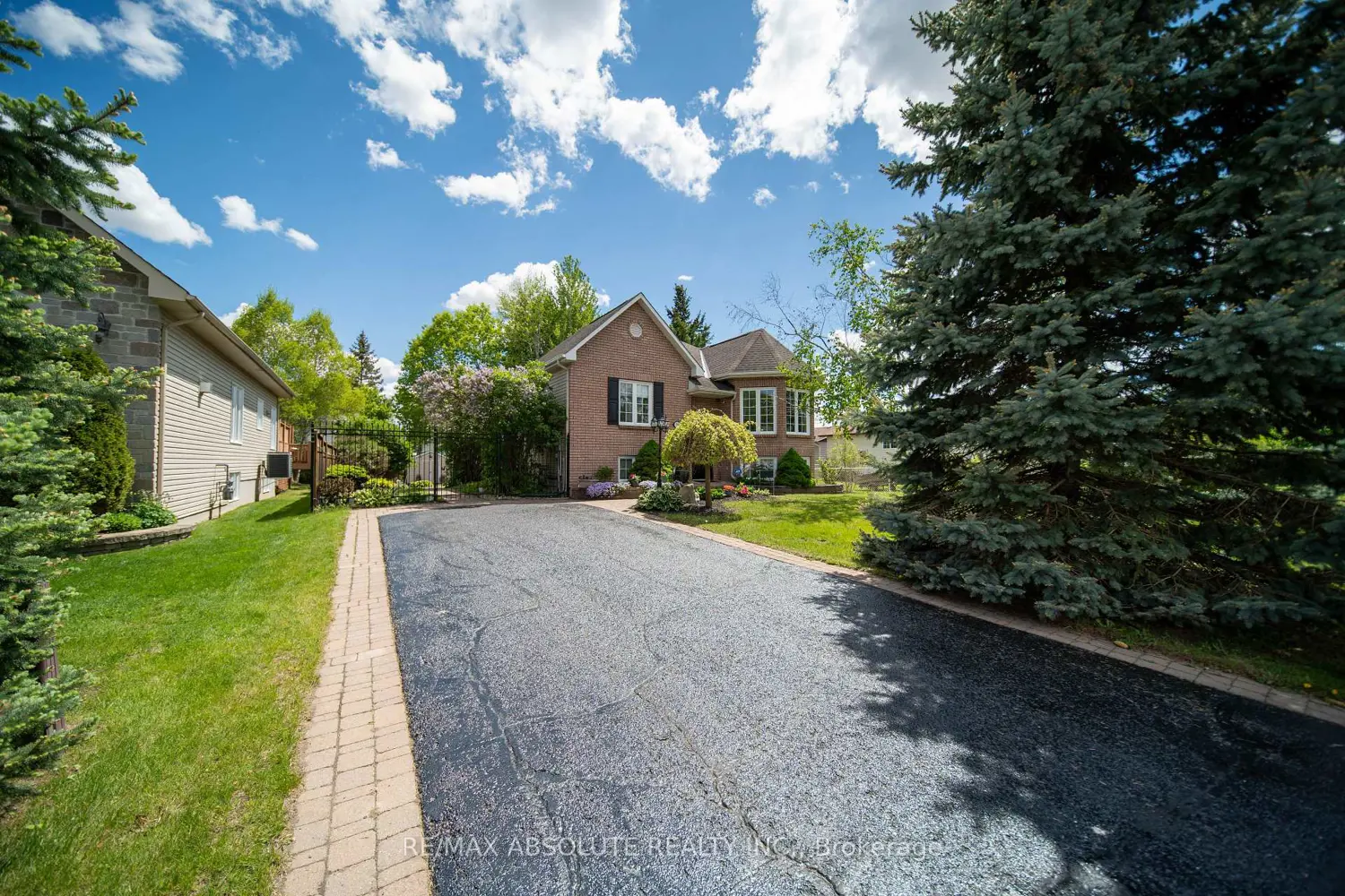 58 Albert Street photo 2