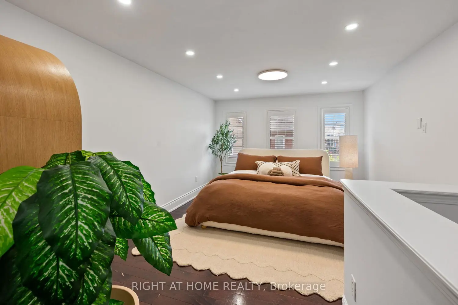 Additional image 12 of 50 Mendelssohn Street 12