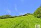 Glandwr, Whitland photo 2