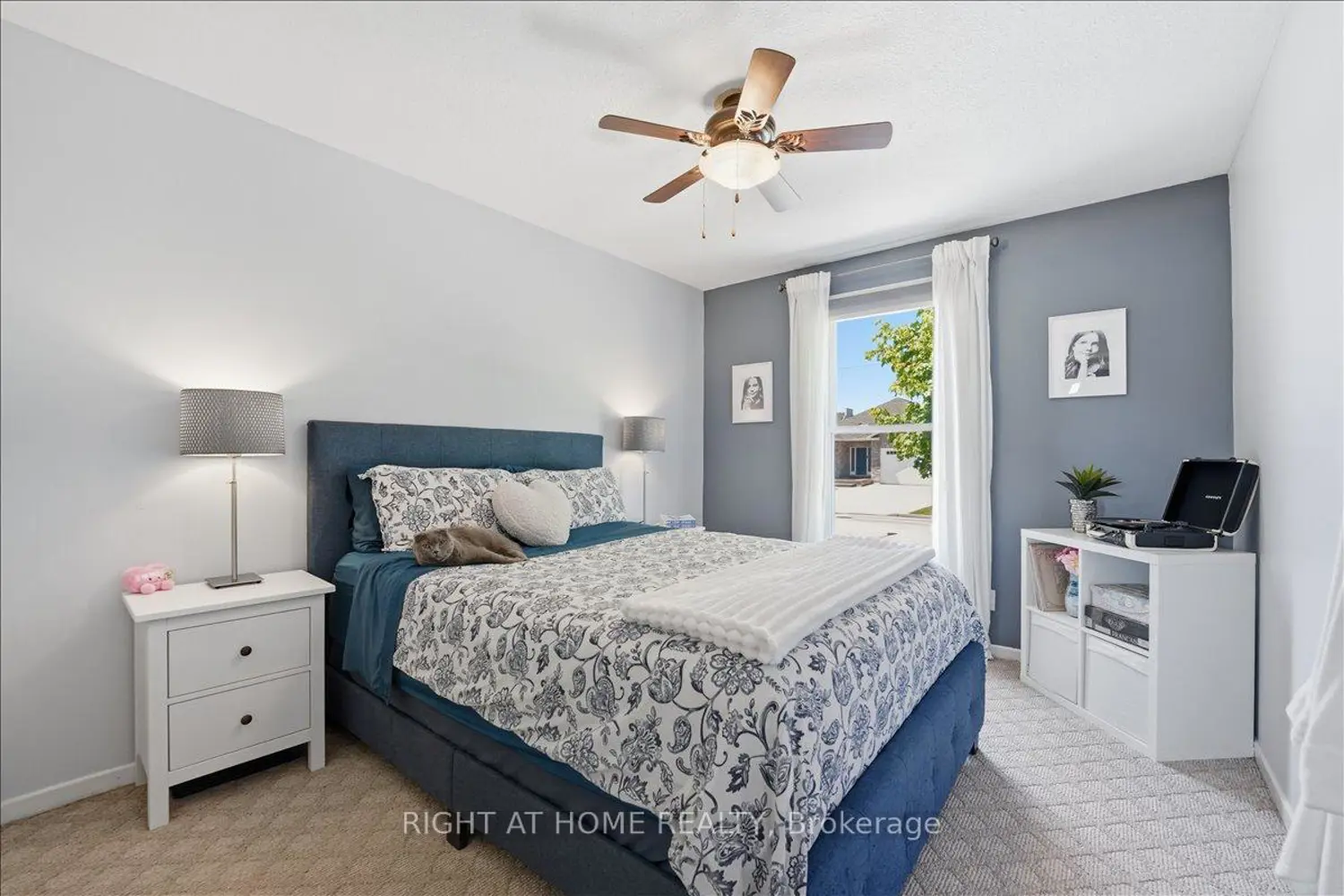6 Willcher Drive photo 5