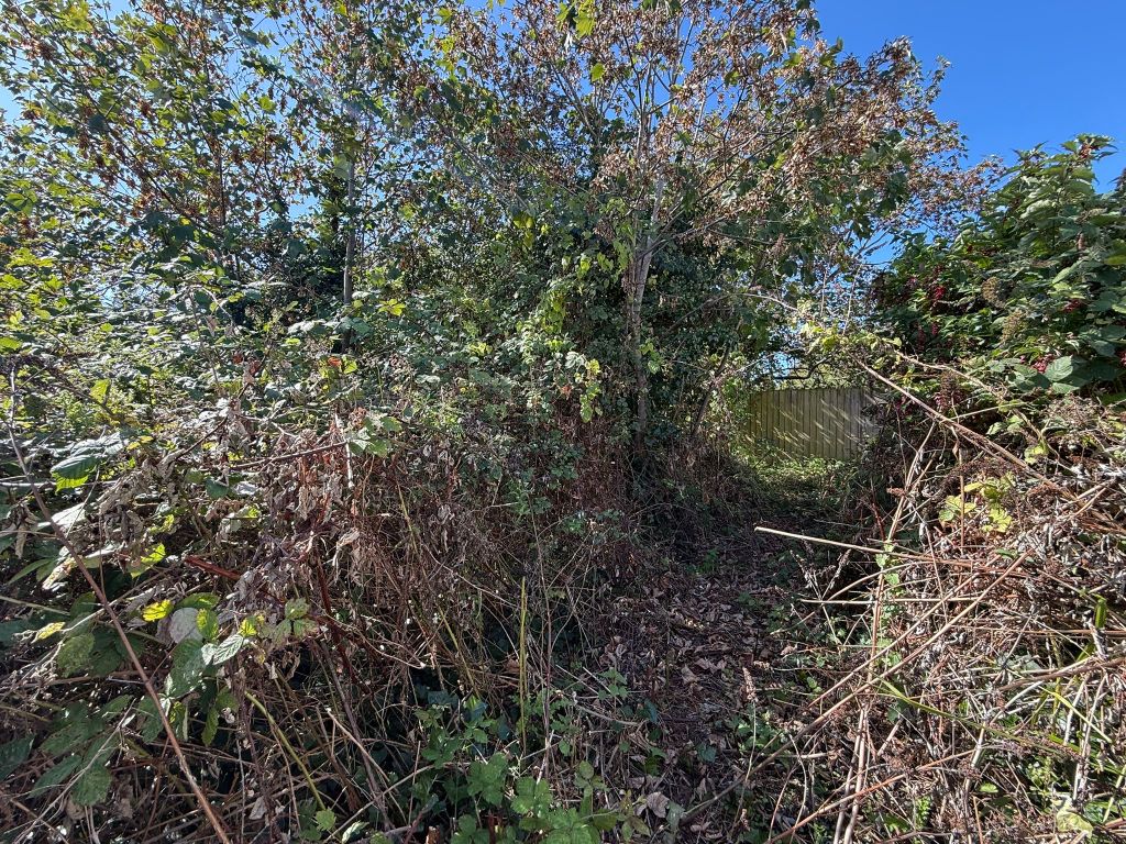 Additional image 10 of Land for saleKnightsdale Road, Weymouth DT4