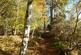 Park Wood, Drumoak AB31 photo 4