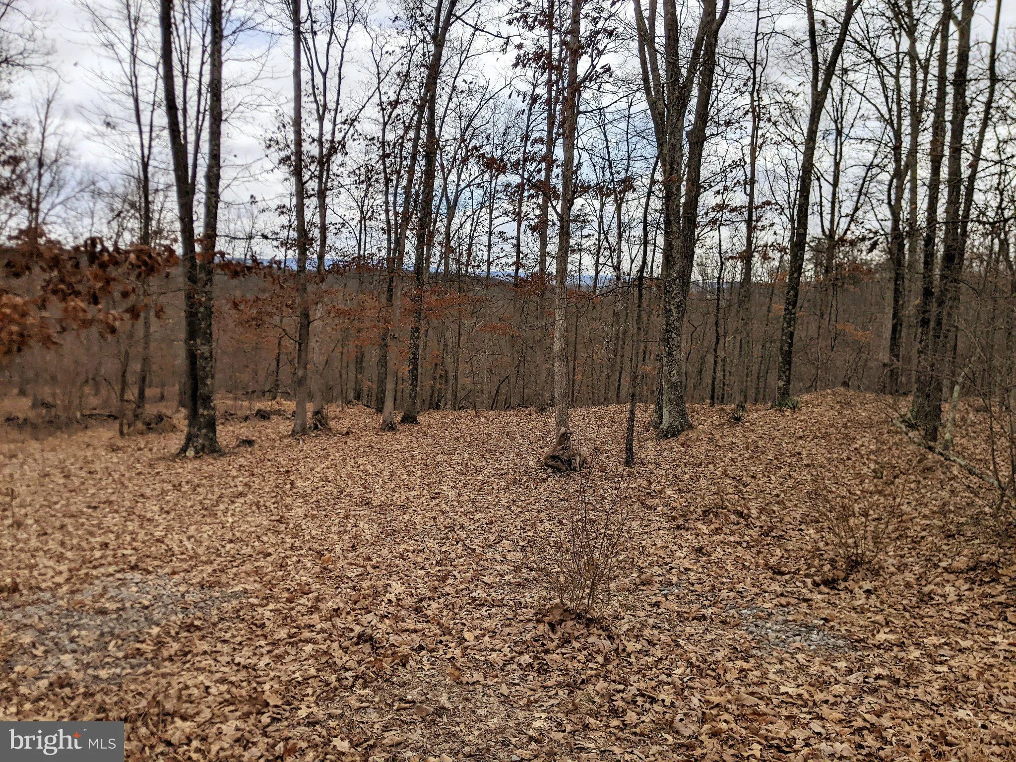 Additional image 23 of Bear Hill Road SE, Oldtown, MD 21555