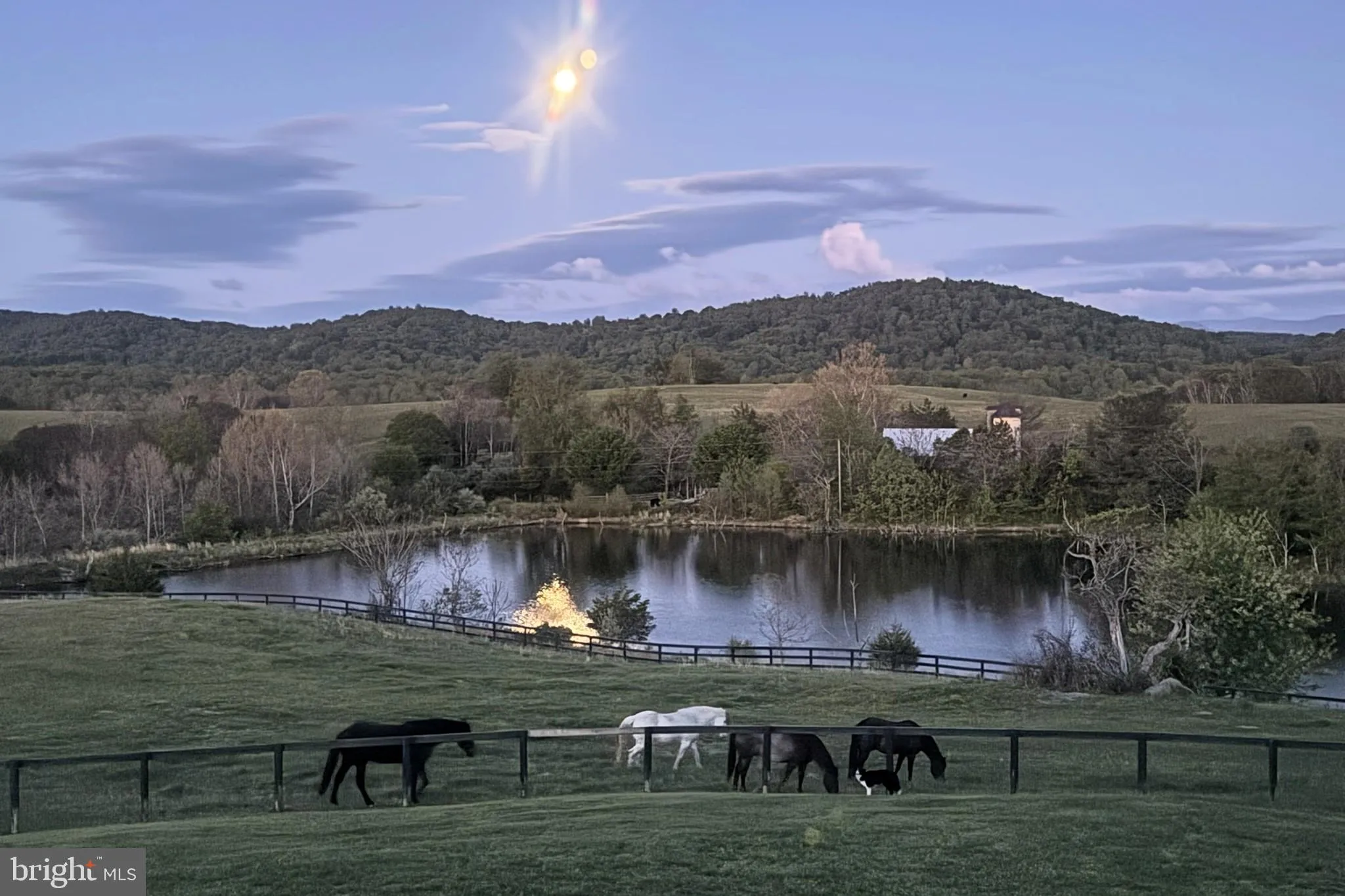 Additional image 140 of 23 White Horse Hill Lane, Amissville, VA 20106