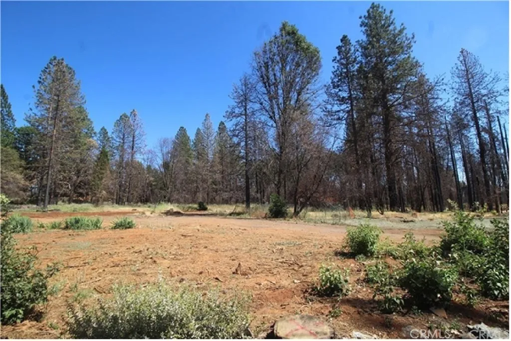8746 Skyway, Paradise, CA 95969 photo 3
