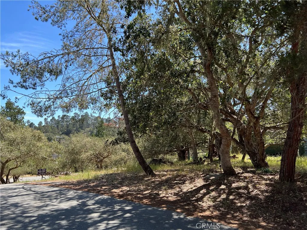 Additional image 17 of Pierce Avenue, Cambria, CA 93428