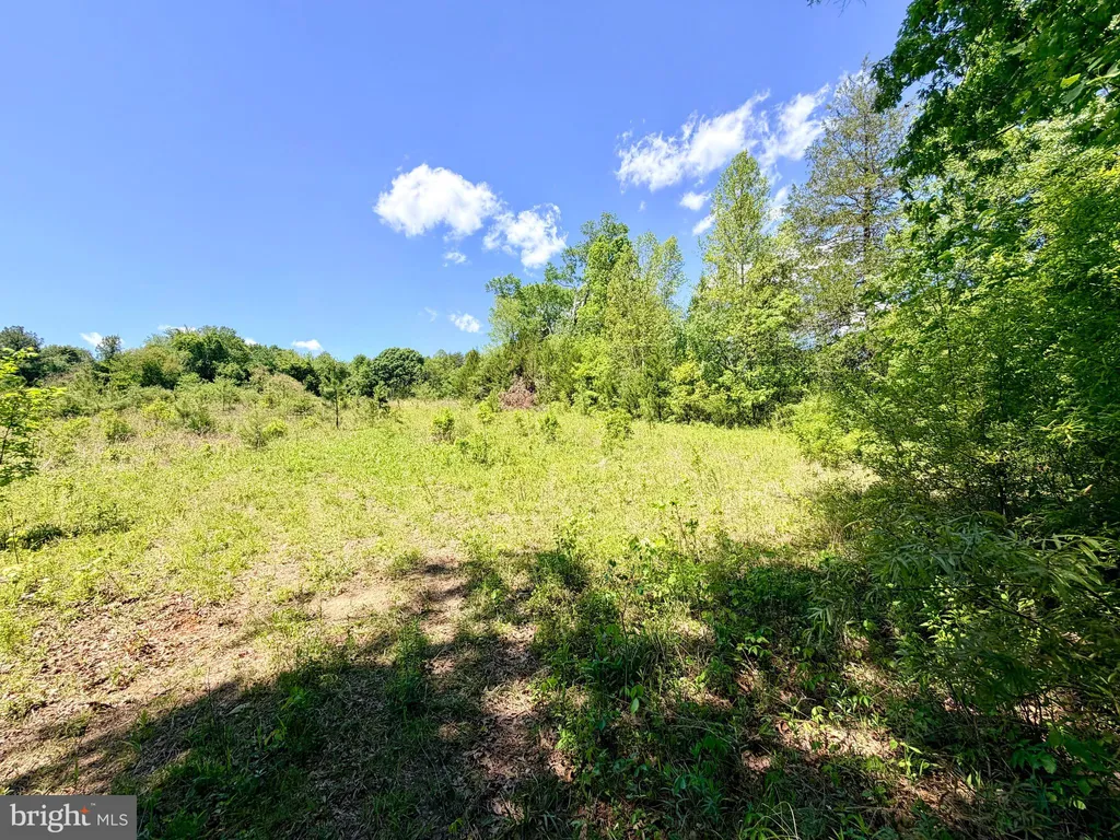 Lot 5 Autumn Ridge Lane, Unionville, VA 22567