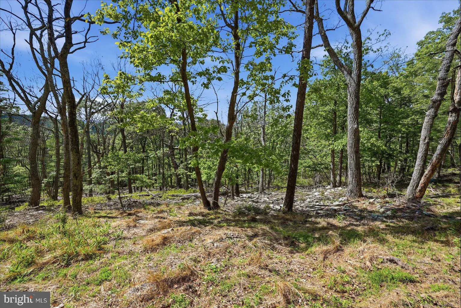 Additional image 14 of 406 Red Fern Lane, Augusta, WV 26704