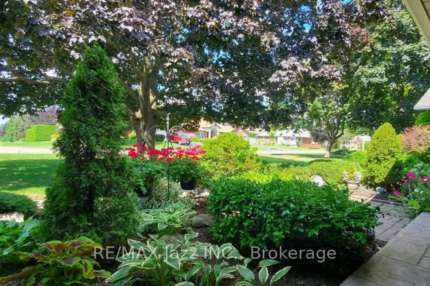 961 Swiss Heights photo 3
