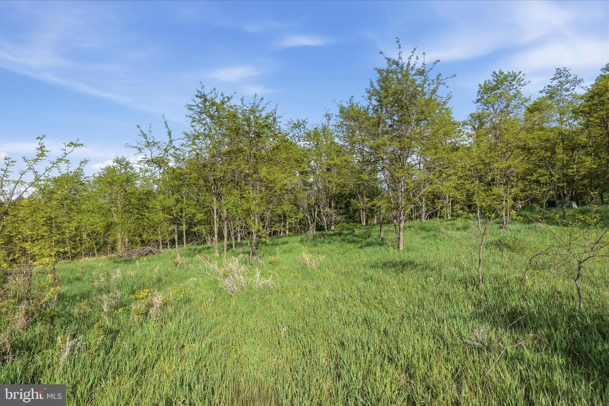 Additional image 19 of Nathaniel Drive, Romney, WV 26757