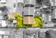 Additional image 5 of Chanton Close, Leigh-on-sea SS9