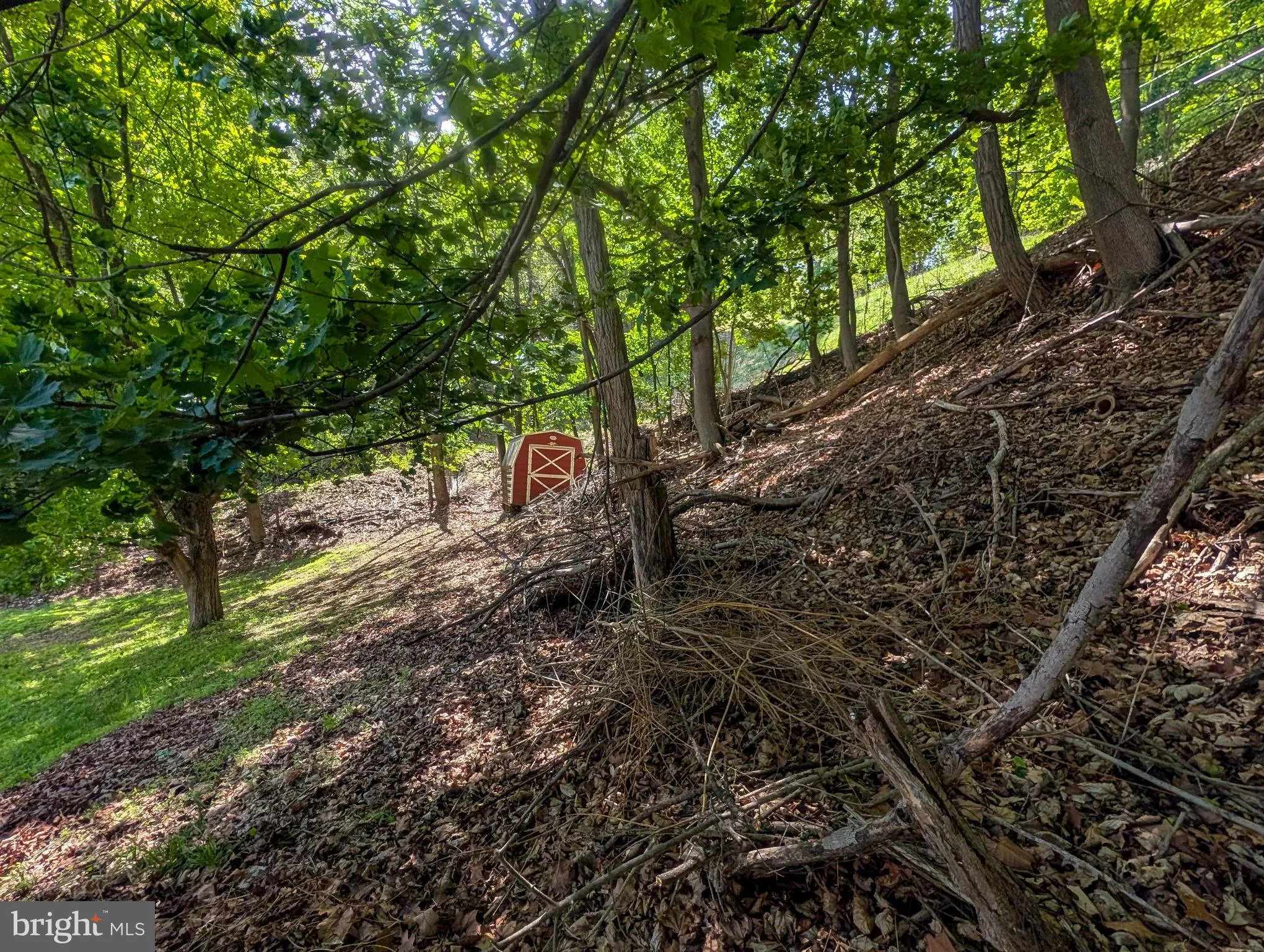 Additional image 98 of 460 Armstrong Street, Keyser, WV 26726