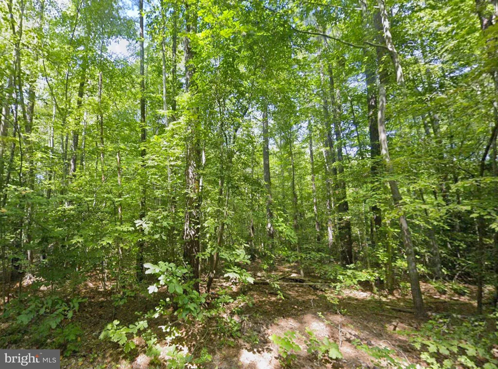 Additional image 4 of 8944 Jessie Dupont Memorial Highway, Kilmarnock, VA 22482