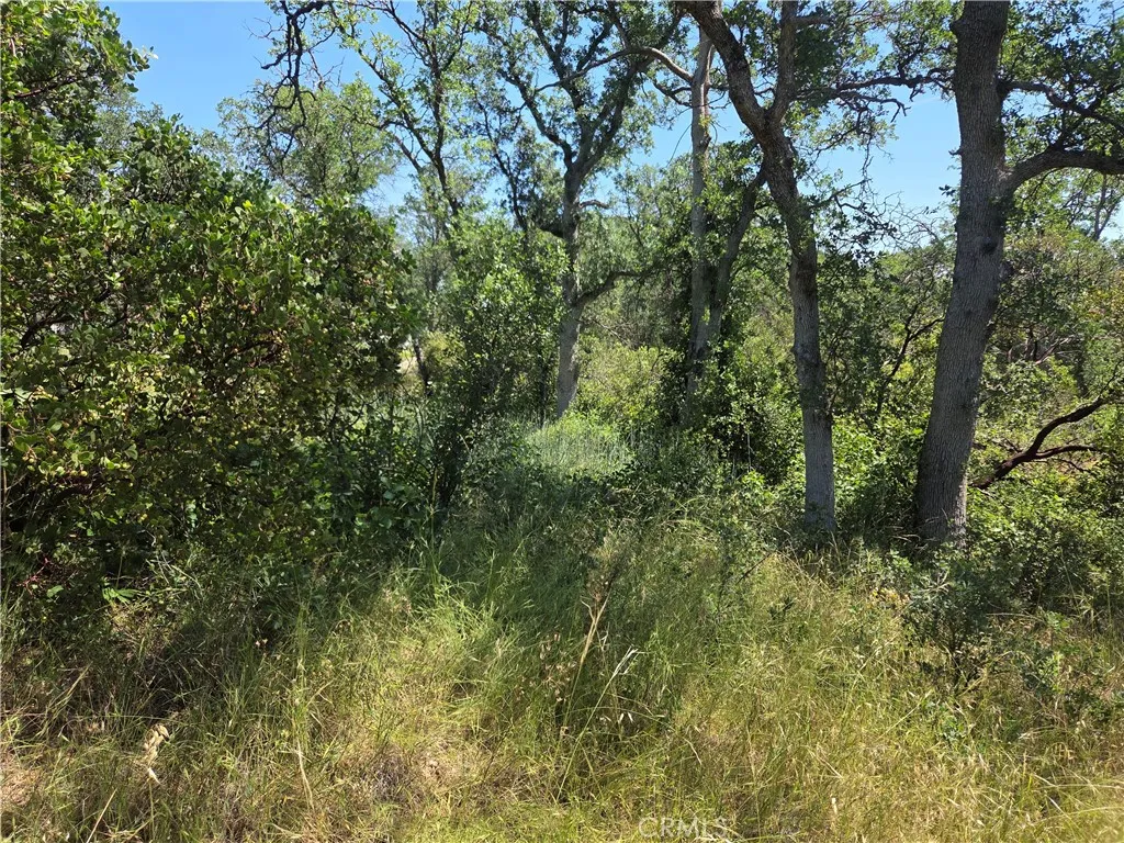 17087 Laramie Pt, Corning, CA 96021