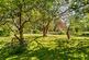 Additional image 28 of Birches Lane, Gomshall