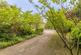 Hollow Lane, Blackboys photo 3