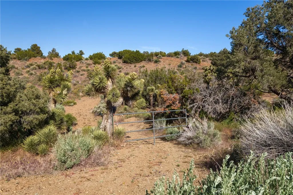 Silver Rock, Pinon Hills, CA 92372
