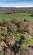 Additional image 48 of Birches Lane, Gomshall