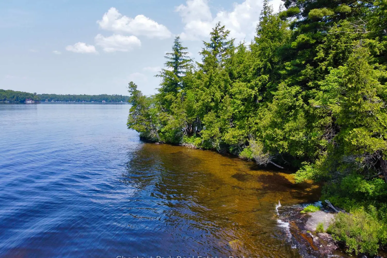 1 Cedar Island photo 3