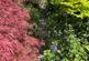 Additional image 15 of Bullock Lane, Ironville, Nottinghamshire. NG16 5NP