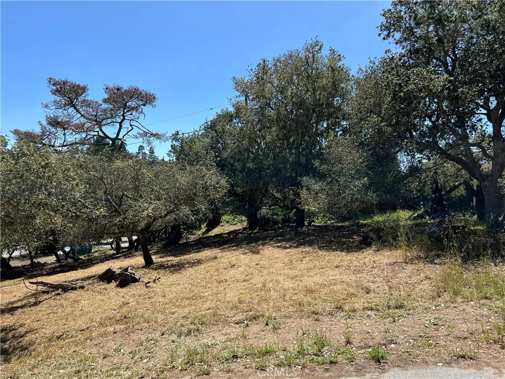 Additional image 8 of Pierce Avenue, Cambria, CA 93428