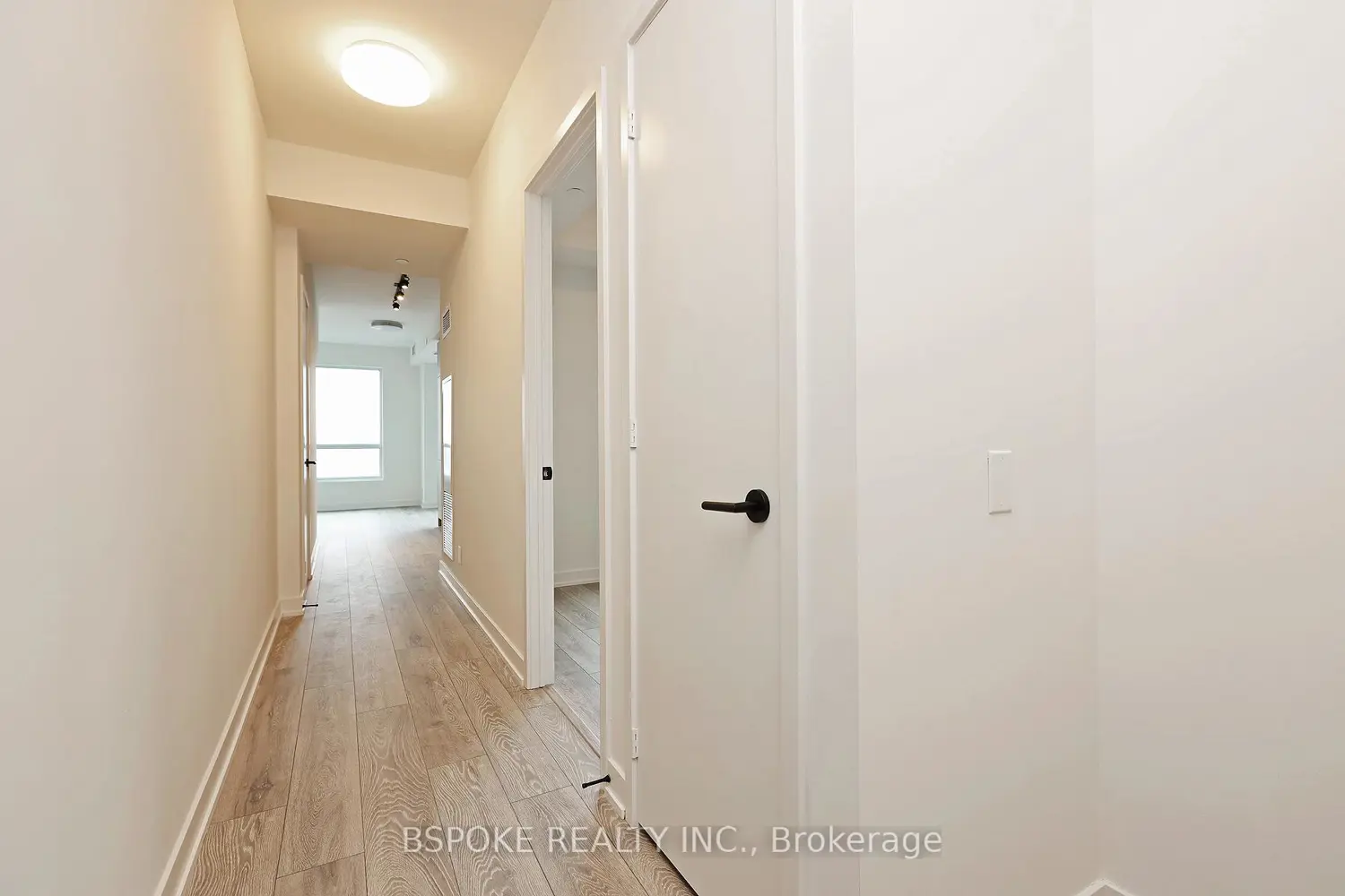 Additional image 12 of 108 Peter Street 2811