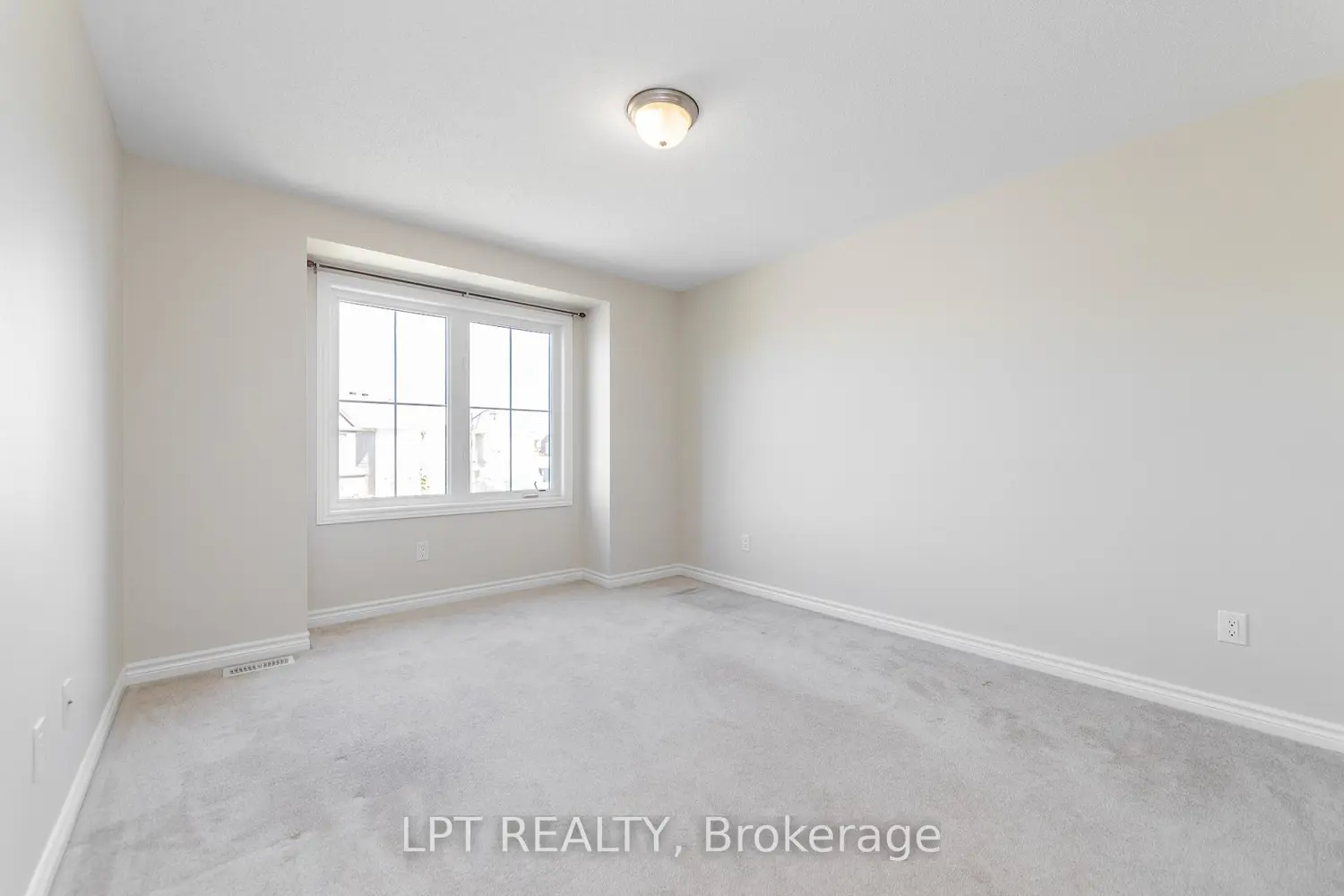 Additional image 14 of 67 Bristling Crescent
