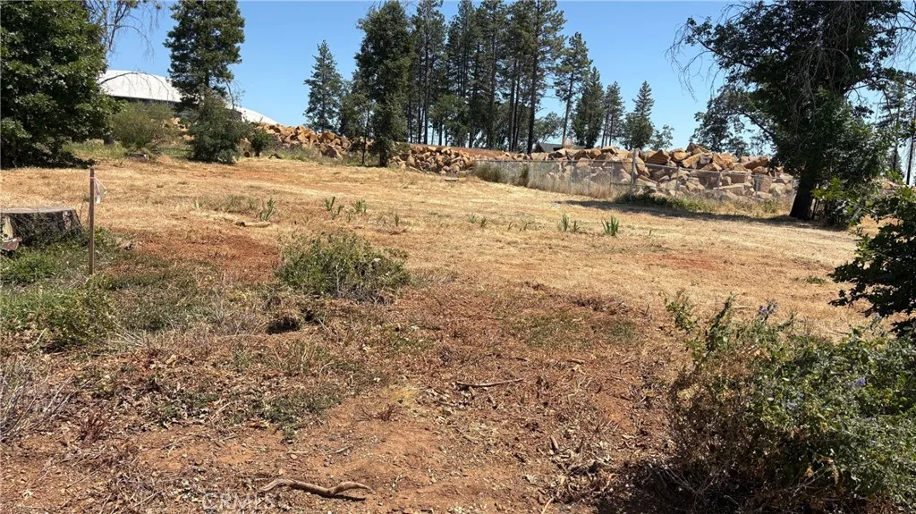 8746 Skyway, Paradise, CA 95969 photo 4
