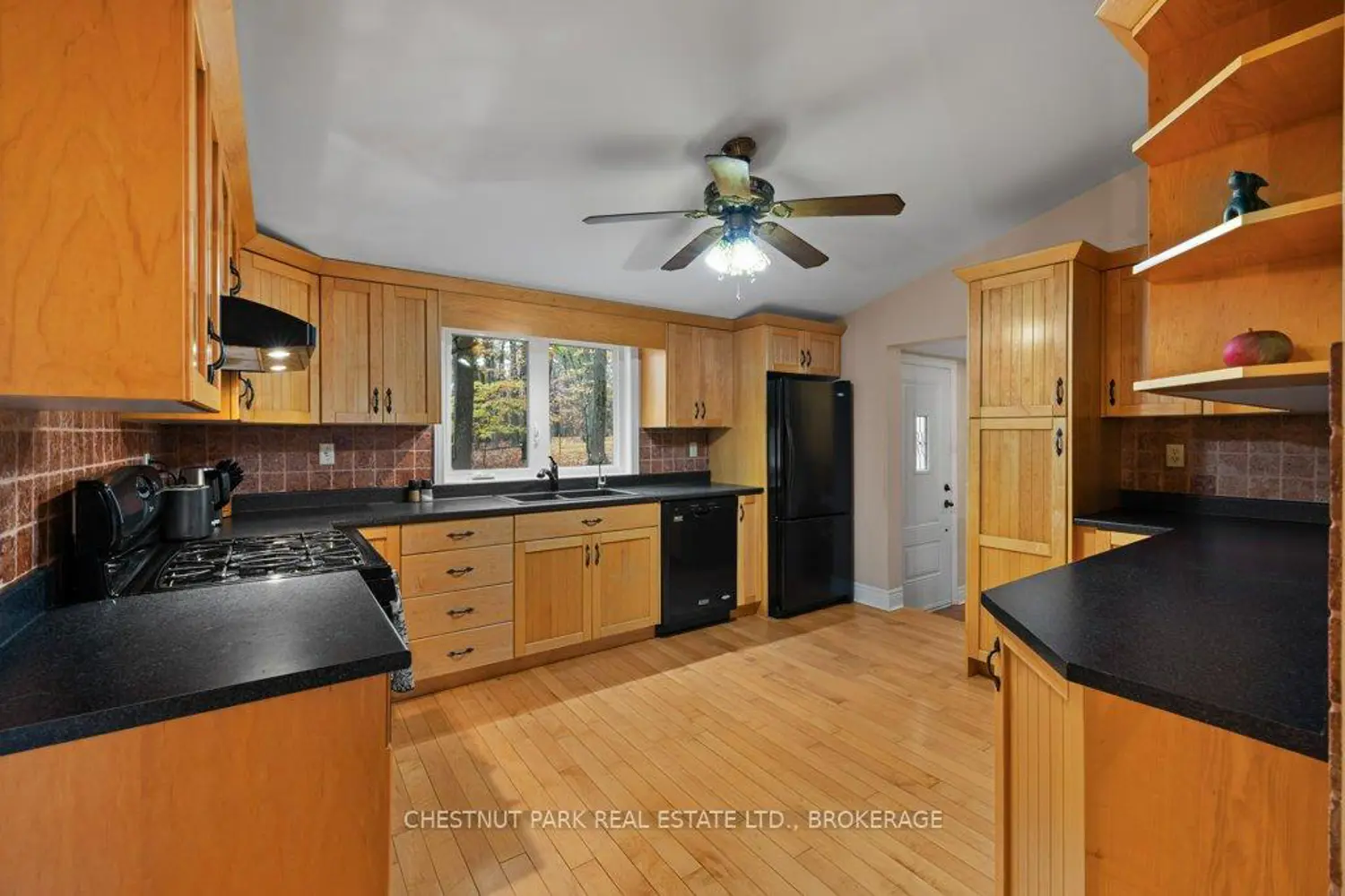 1190 Alamo Lane photo 4