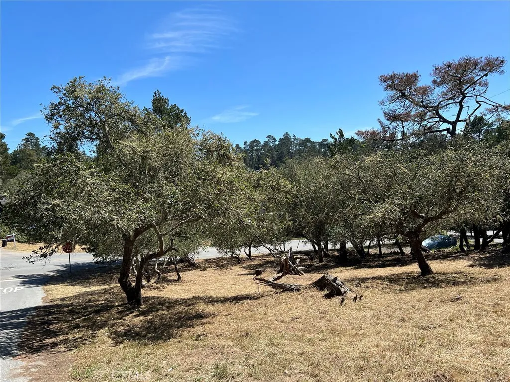 Additional image 5 of Pierce Avenue, Cambria, CA 93428
