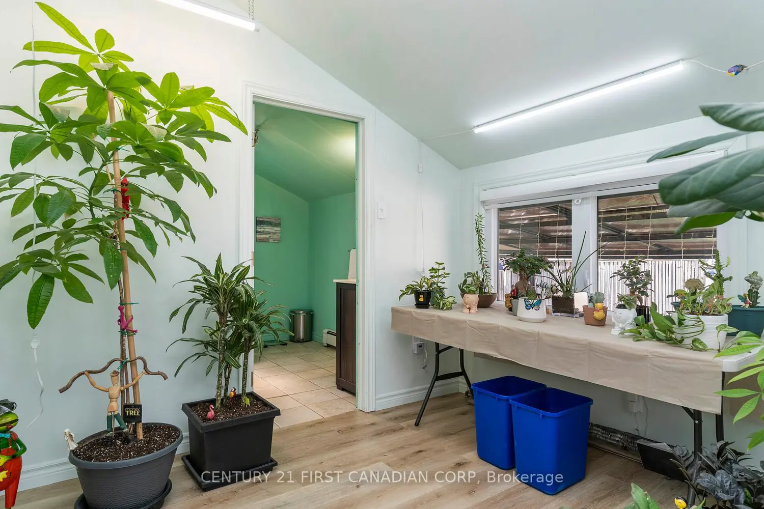 Additional image 12 of 706 Nelson Street