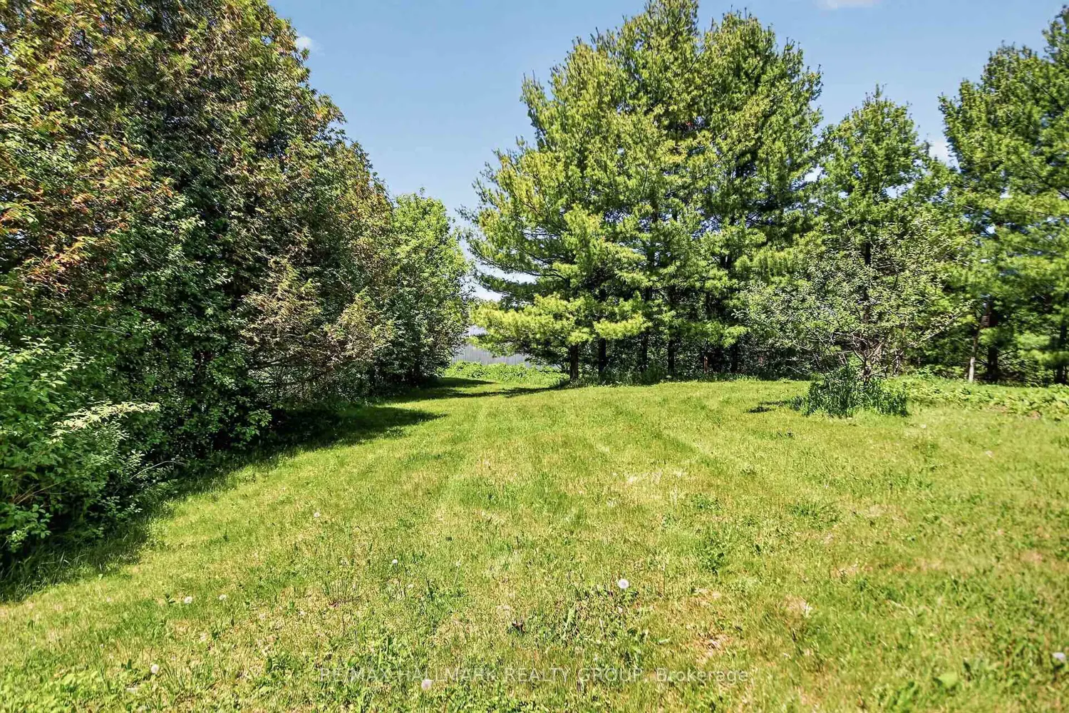 Additional image 20 of 1054 Mccrea Road