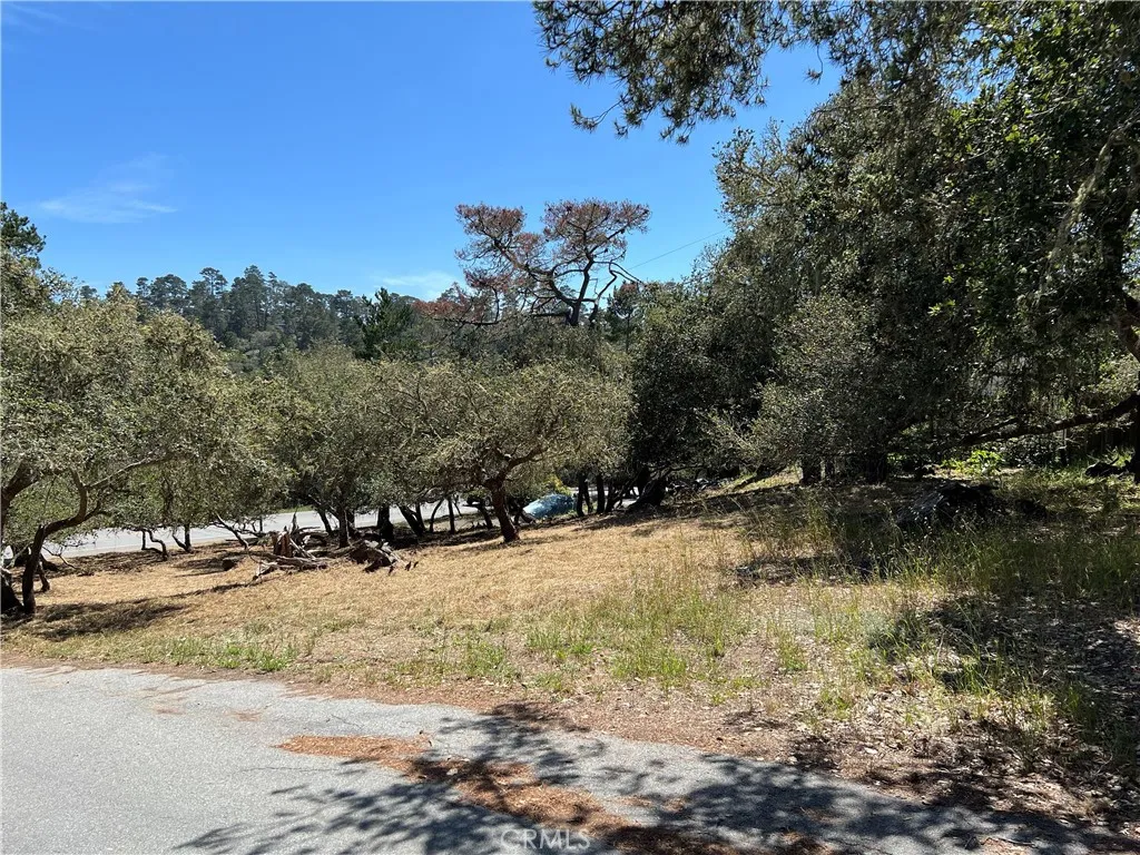 Additional image 11 of Pierce Avenue, Cambria, CA 93428