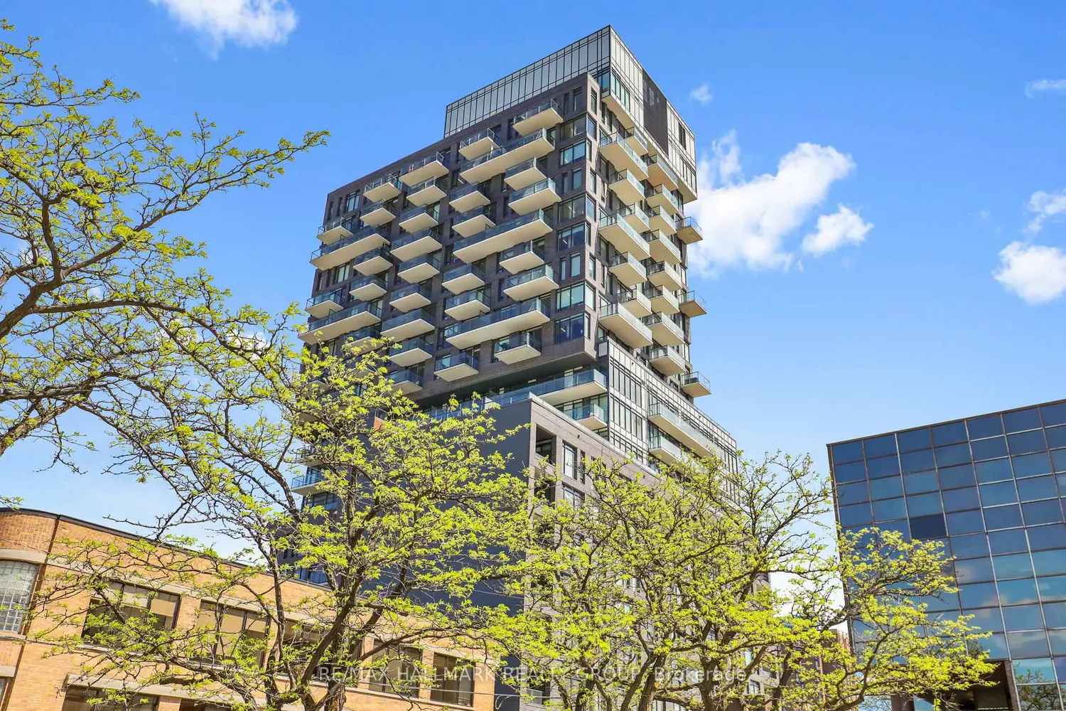 203 Catherine Street 1204