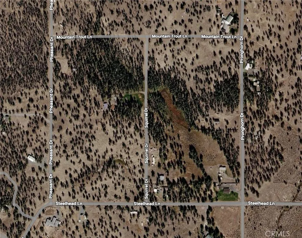 Pheasant Drive, Alturas, CA 96101 photo 4